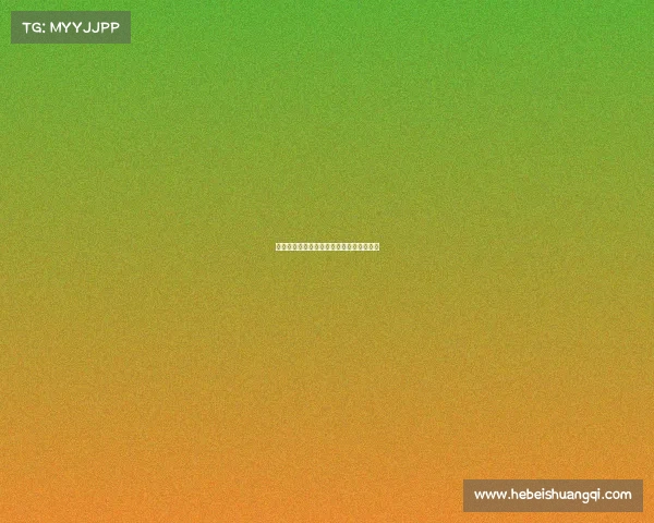 青春赛场新星闪耀,拼搏汗水铸就梦想华章